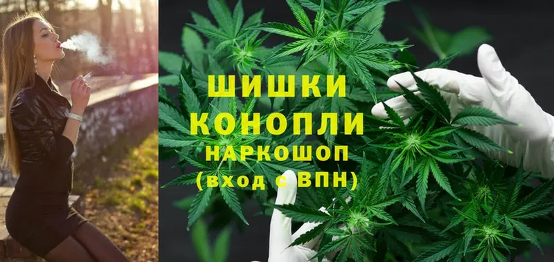 где купить наркотик  Макушино  Шишки марихуана THC 21% 